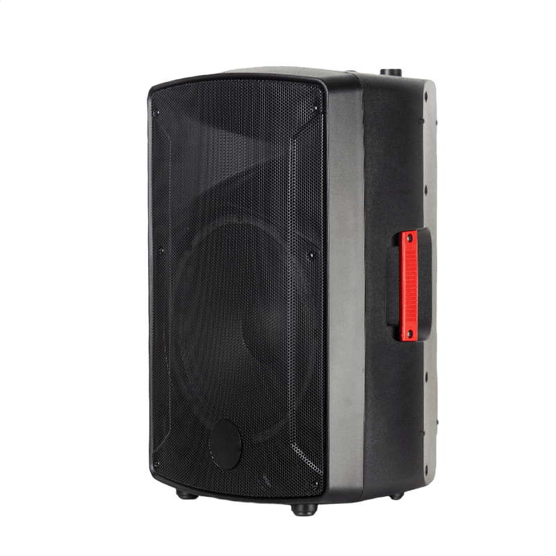 2 Way Speaker