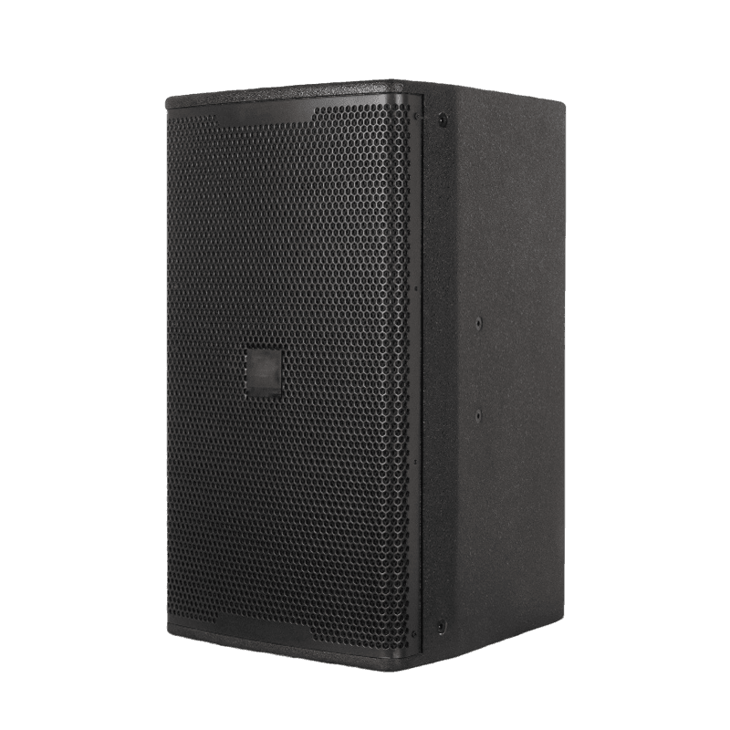 10" Two Way Loudspeaker